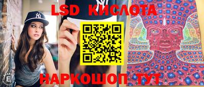 гашик Донецк