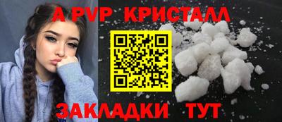 спайс Гусев