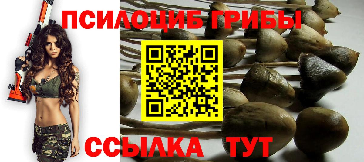 Псилоцибиновые грибы Magic Shrooms Мелеуз